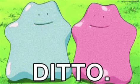 ditto gif|ditto meme gif.